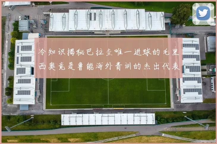 冷知识揭秘巴拉圭唯一进球的毛里西奥竟是鲁能海外青训的杰出代表