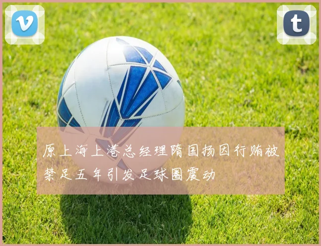 原上海上港总经理隋国扬因行贿被禁足五年引发足球圈震动