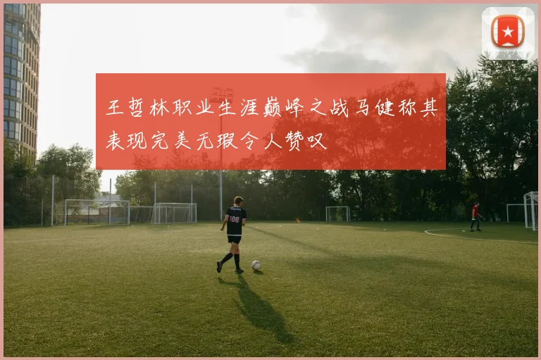 王哲林职业生涯巅峰之战马健称其表现完美无瑕令人赞叹